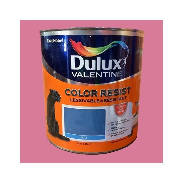 Peinture intérieure Dulux Valentine Dulux Valentine Peinture acrylique Color Resist Ultra rose Mat