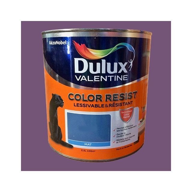 Dulux Valentine - Dulux Valentine Peinture acrylique Color Resist Améthyste Mat - Peinture intérieure & extérieure