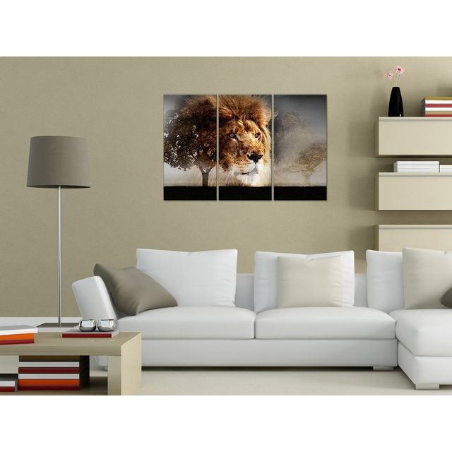 Declina Tableau contemporain photo sur toile lion sauvage - Cadre triptyque