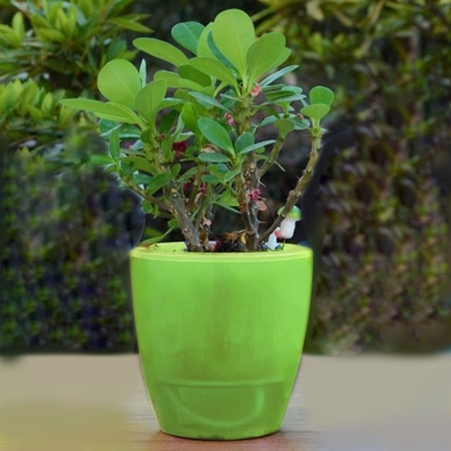 Wewoo - Pot de fleur vert Pots à fleurs paresseux automatique hydroponique plantes en absorbant l'eau circulaire résine plastique de à double couche conception auto arrosage arrosoir, diamètre: 18 cm, hauteur: 18,5 cm - Poterie, bac à fleurs