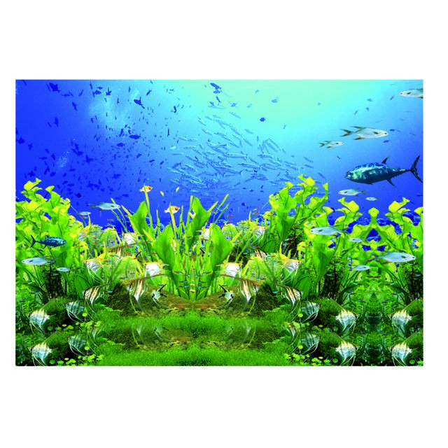 marque generique - décorations d'aquarium marque generique  - Aquarium haut