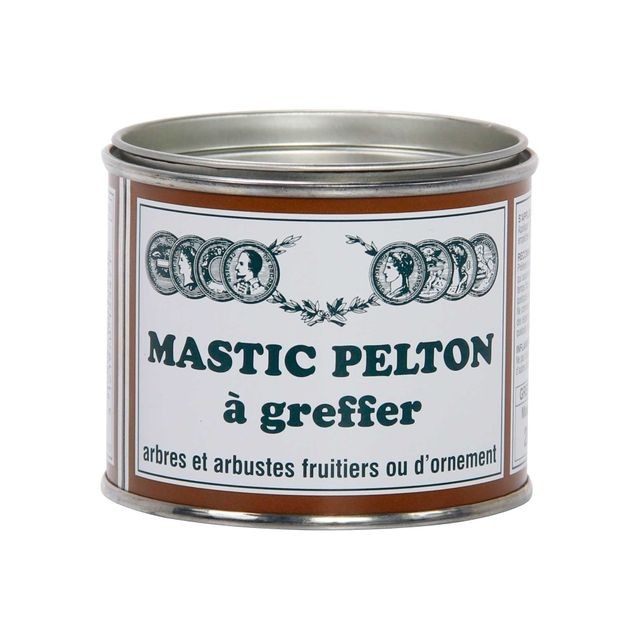 Engrais & entretien Bulbe Pelton PELTON Mastic a greffer - 200 g