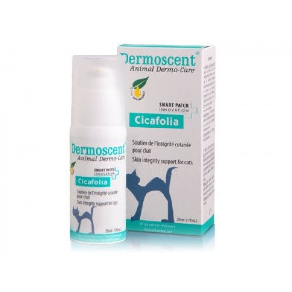 Dermoscent - Dermoscent Cicafolia crème cicatrisante pour chats Dermoscent  - Dermoscent