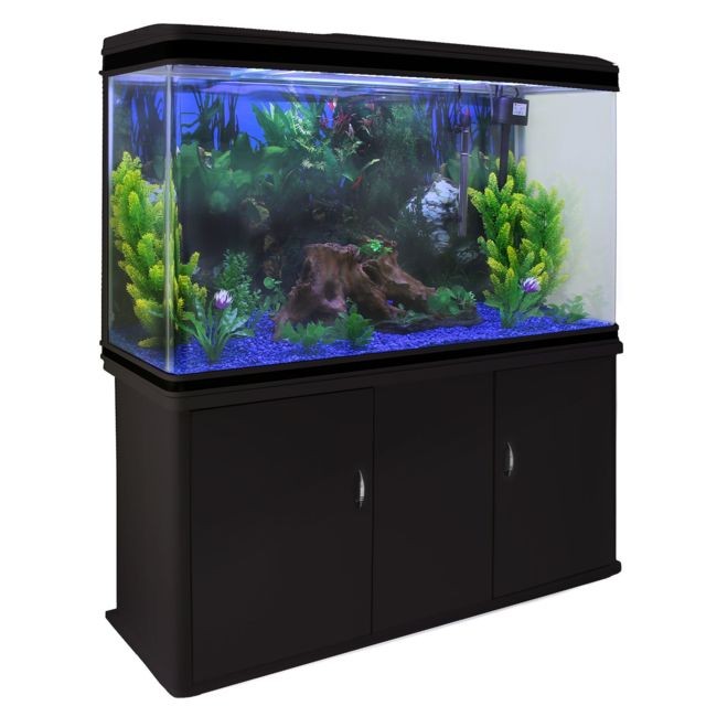 Monstershop - Aquarium à bords Noir avec Kit de Démarrage, Meuble de support Noir, Plantes & Graviers Bleu Monstershop   - Meuble aquarium Aquarium
