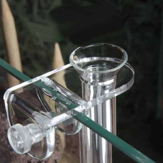 Accessoires basse-cour verre aquarium crevette tube d'alimentation alimentaire plat chargeur avec collier 28cm