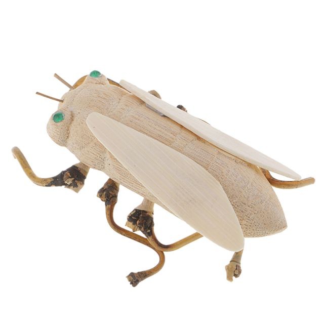 marque generique Jouets en bois naturels jouets d'insectes
