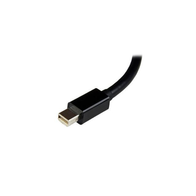 Câble Ecran - DVI et VGA Startech MDP2DVI3