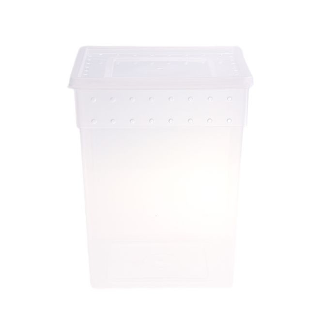 marque generique - boîte d'alimentation de reptile cage transparente conteneur d'éclosion pour grenouille de lézard blanc marque generique  - Animalerie