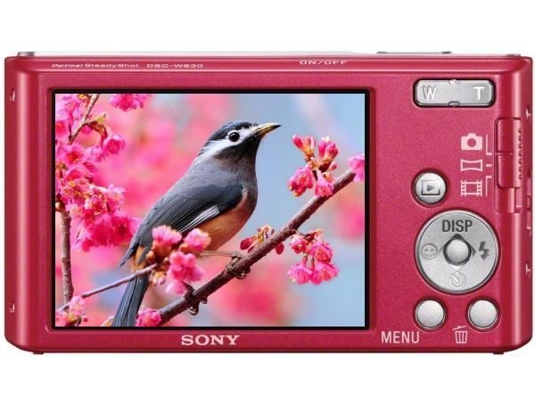 Appareil compact Sony SONY-DSCW830-ROSE