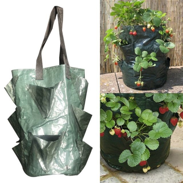Wewoo - CMD-3 sac de plantation de fraises suspendues en PE de 3 gallonssac de de fleurs horticoles vert Wewoo  - Engrais & entretien Arbres & arbustes