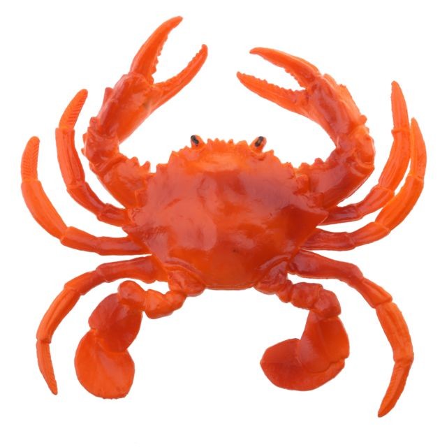 marque generique - faux modèle dispaly animaux marins artificiels décoration crabe rouge - b marque generique  - marque generique