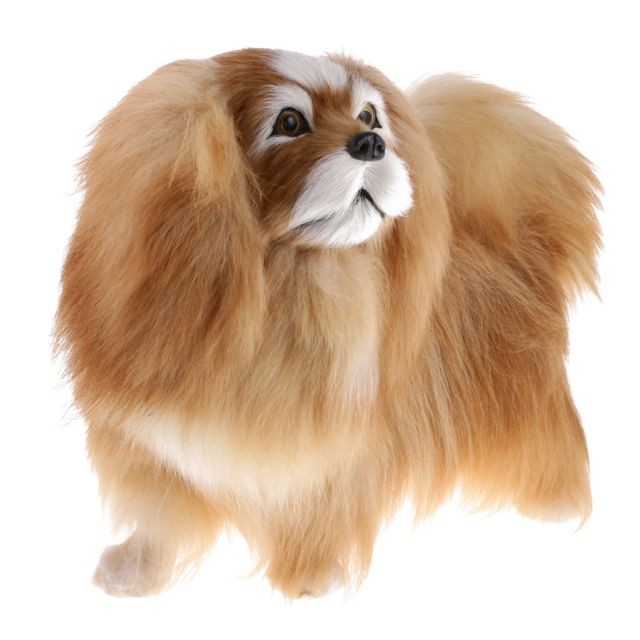 marque generique - Simulation de peluche réaliste animal modèle de chien pekingese pour ornements enfant jouet - Peluches