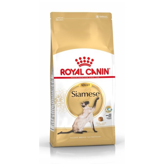 Royal Canin - Royal Canin Race Siamois Adult Royal Canin  - Croquettes pour chat