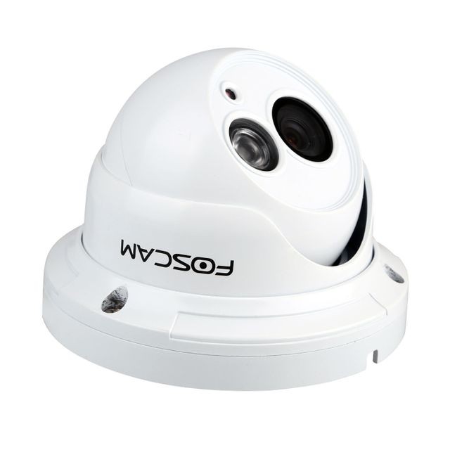 Caméra de surveillance connectée Foscam FOSCA025003