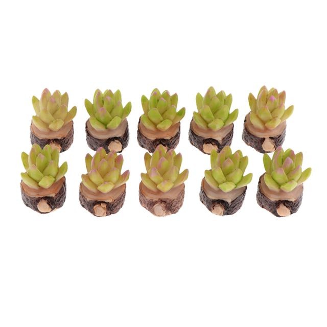 marque generique - Plantes succulentes miniatures marque generique  - Des fleurs artificielles