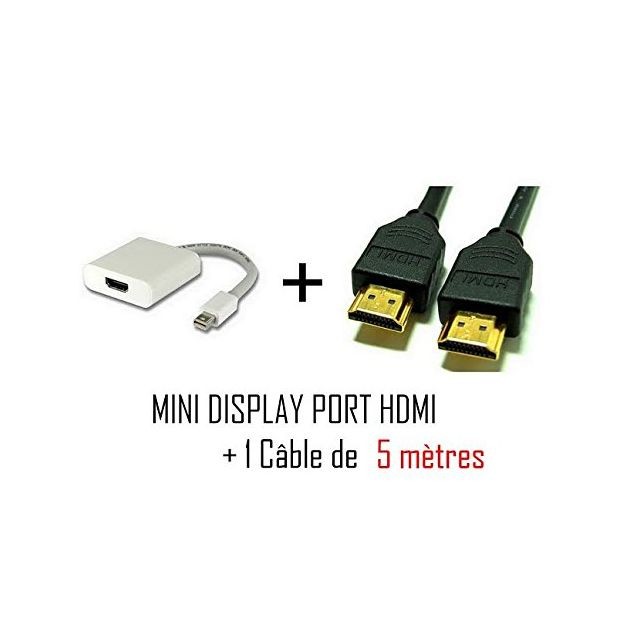 CY Mini DisplayPort vers DisplayPort Adaptateur DisplayPort vers Mini DisplayPort Convertisseur pour PC Ordinateur Portable TV Moniteur Mini DP vers DP 