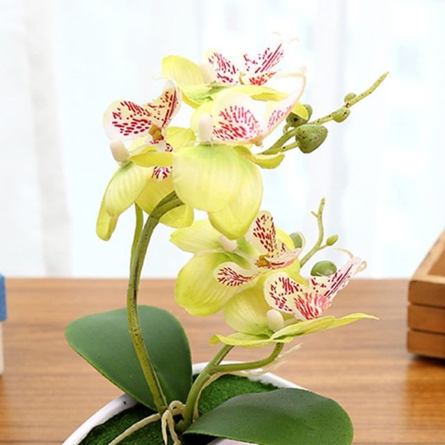 marque generique Orchidée Artificielle Bonsaï Fausse Fleur Intérieur Extérieur Bureau Décor à La Maison Vert