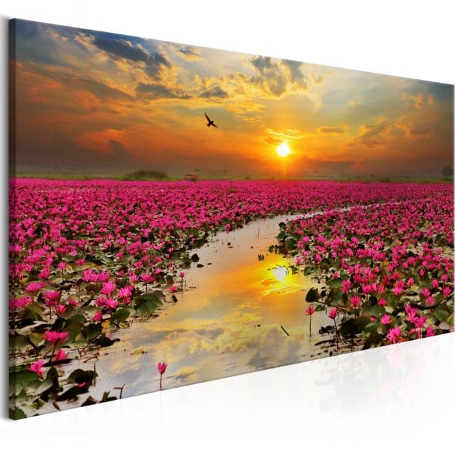 Bimago - Tableau - Lily Field (1 Part) Narrow - Décoration, image, art | Paysages | Levers et couchers de soleil | - Tableau coucher soleil