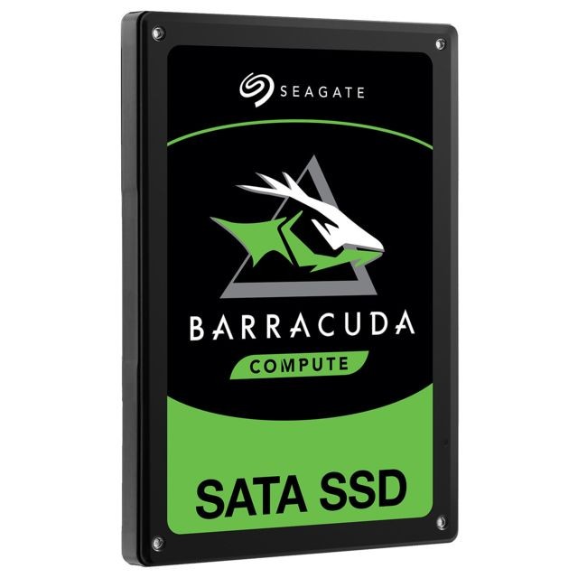 SSD Interne Seagate ZA500CM1A003