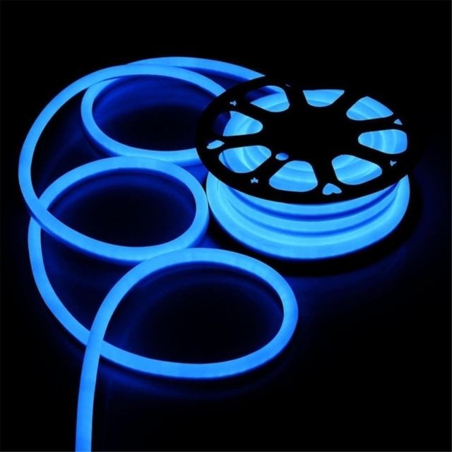 Wewoo - Ruban LED Waterproof Epoxyde 5m 600LEDs 2835 SMD Lumière au néon Flexible DIP IP67 Cordon étanche à l'eau, 2 fils, CA 220-240V (lumière bleue) - Ampoules