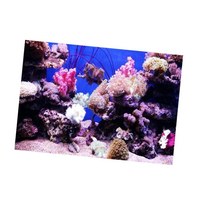 marque generique - Autocollant pour aquarium marque generique  - Aquarium marin