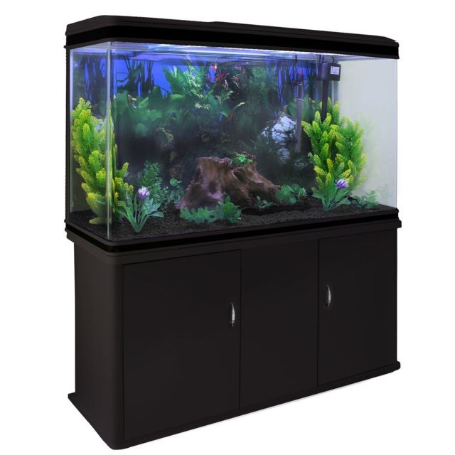 Aquarium Monstershop Aquarium à bords Noir avec Kit de Démarrage, Meuble de support Noir, Plantes et Graviers Noir